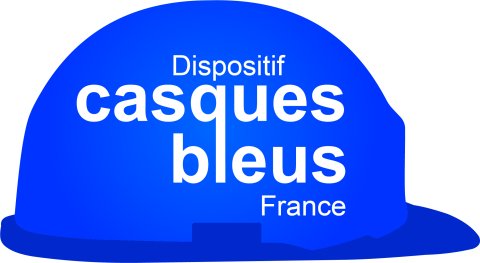 Logo Dispositif Casques Bleus France