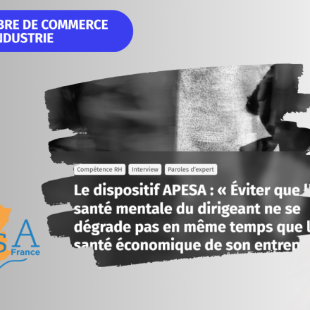 Logo CCI et APESA avec un visuel de l'article en ligne