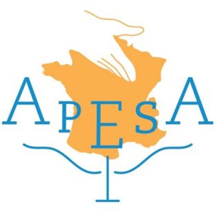 Logo APESA