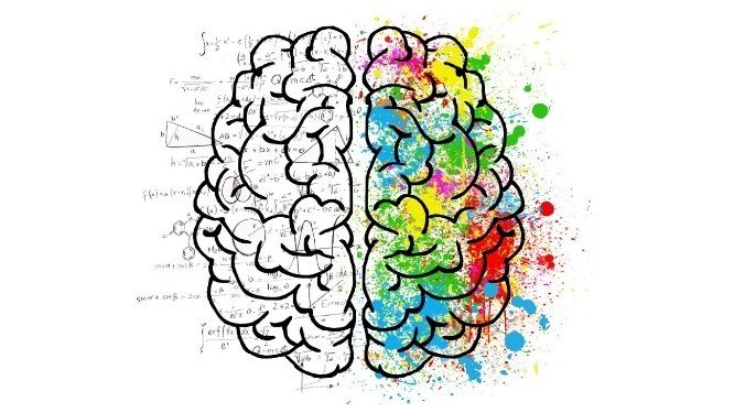 Cerveau en ébulition