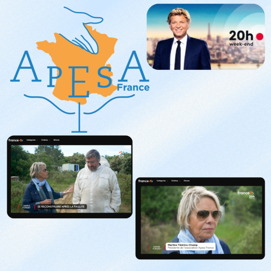 Reportage JT France 2 - Laurent Delahouse